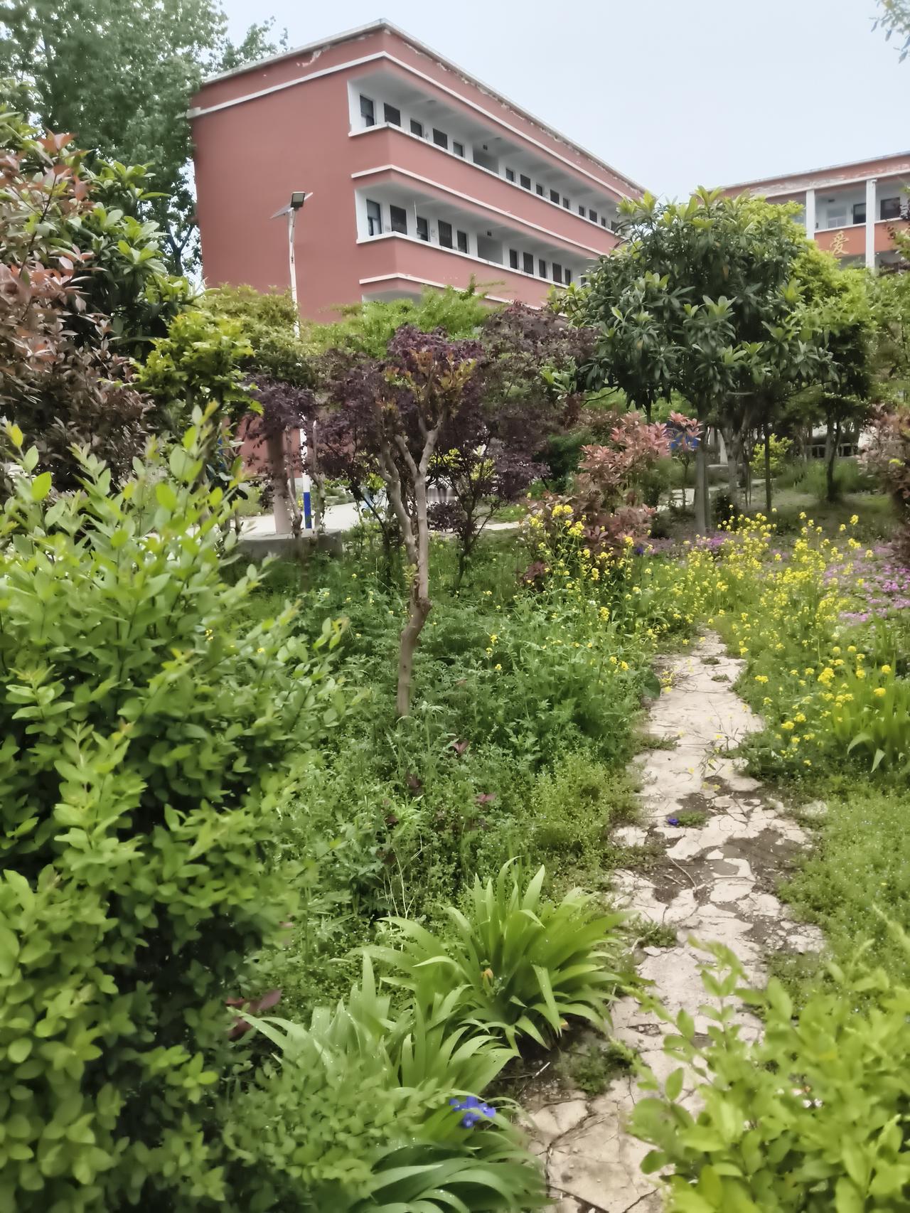 这里没有课间的喧嚣，只有风吹过叶片的沙沙声，和阳光透过枝叶缝隙洒下的斑驳光影。时