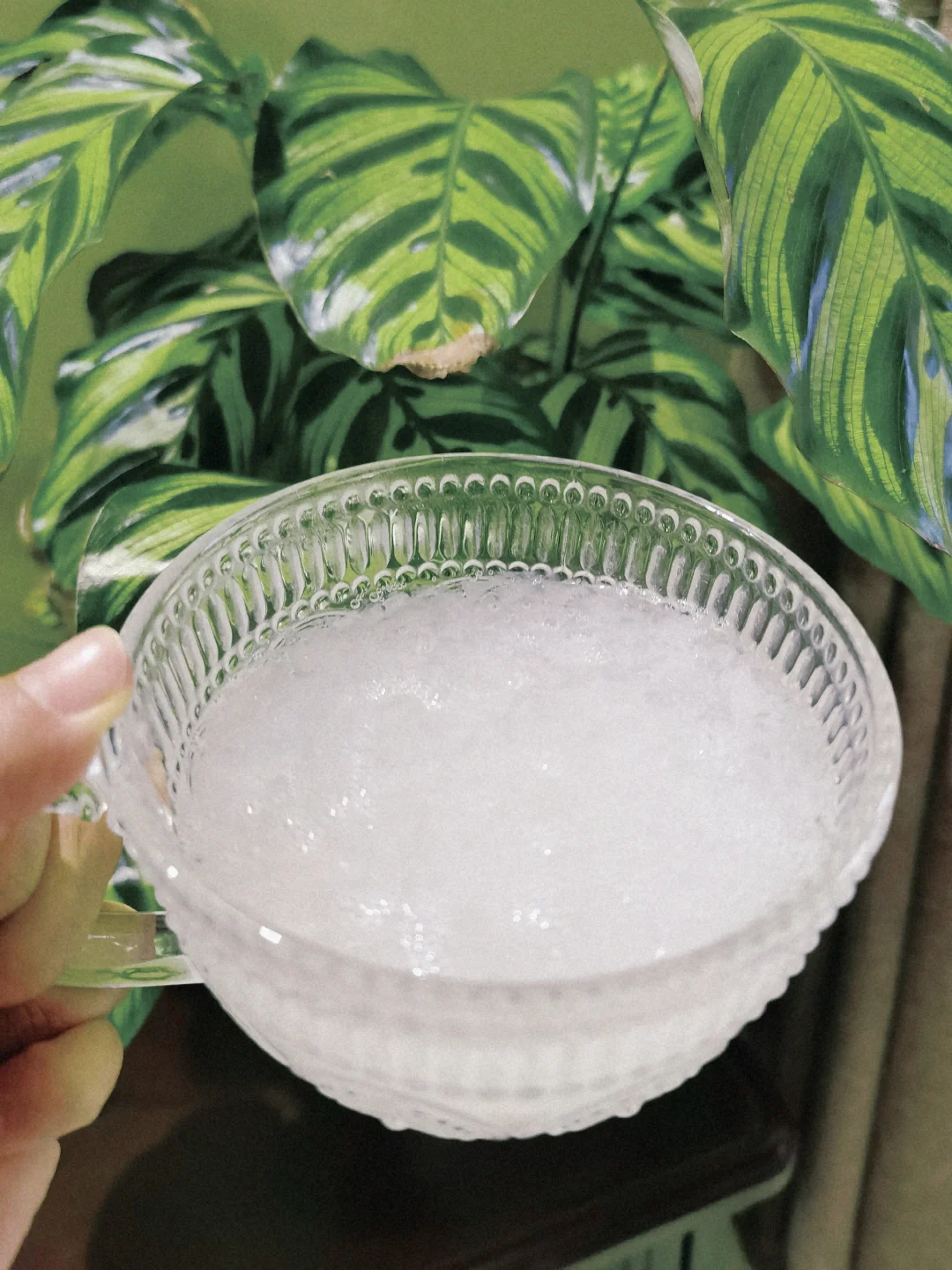 秋冬吃银耳💯天｜挖到了金x耳的平替‼️