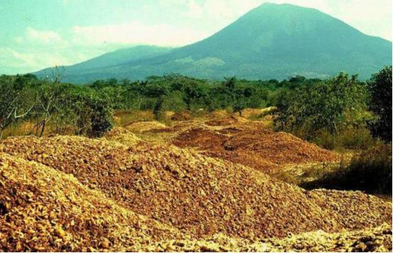 1997年，1.2万吨橘子皮被丢进了自然保护区，当地法院以“污染环境”为由，勒令