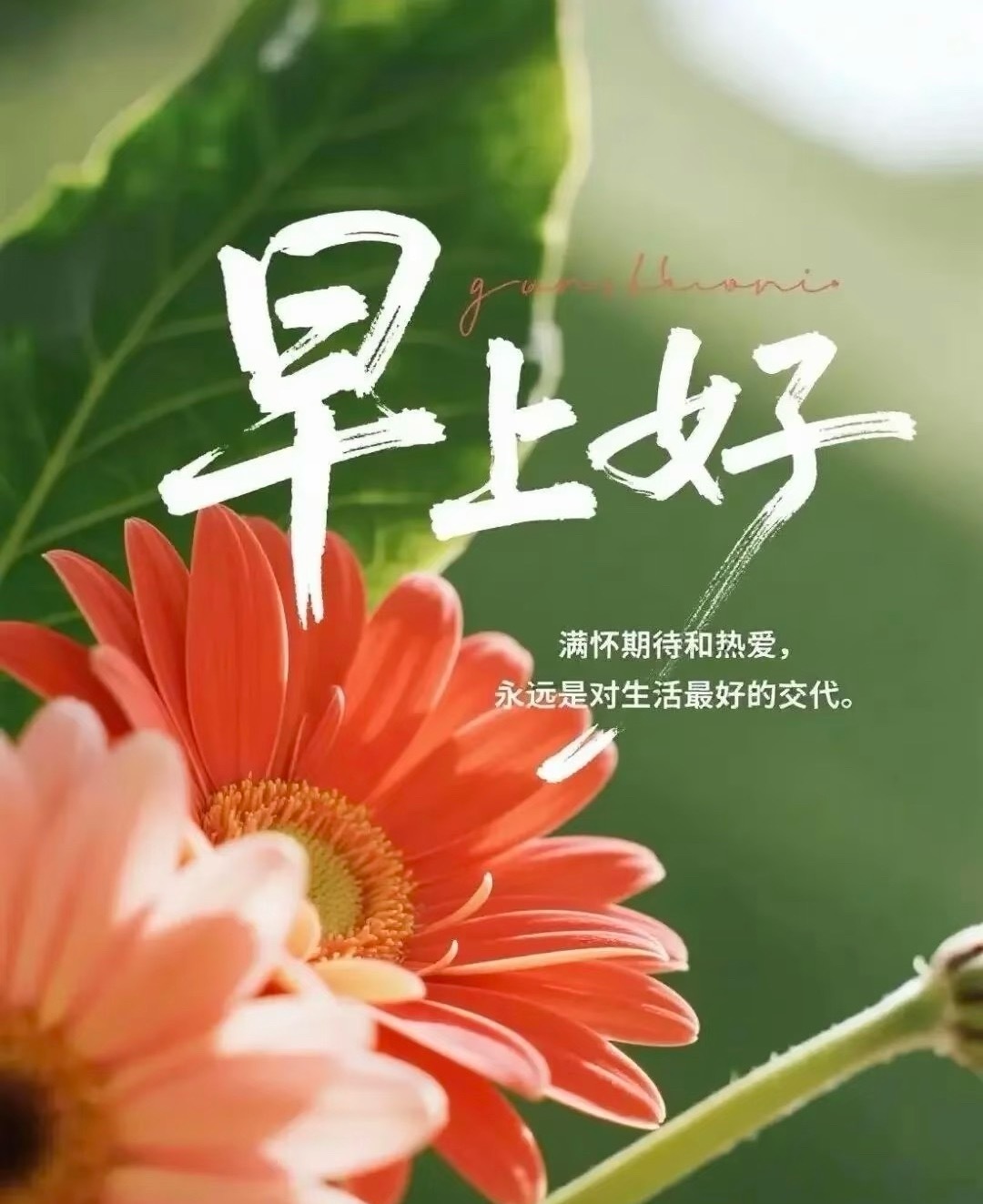 早安 🌈𝗛𝗮𝗽𝗽𝘆 𝗗𝗮𝘆 🌅❥❥早安～☀️ 新的一周把新的