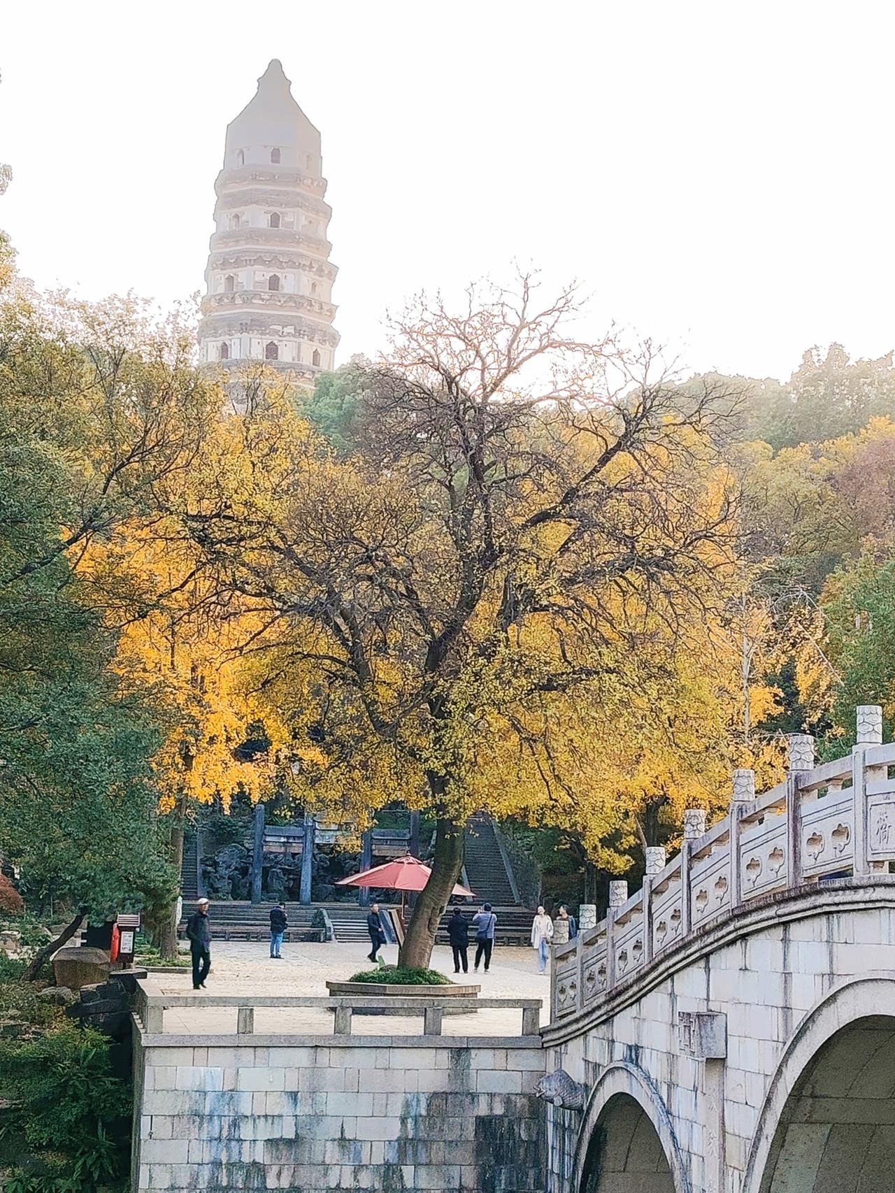 活到老，学到老，这话说得真不错。我们这一辈，尤其是像我老伴，退休以后才真正开始了