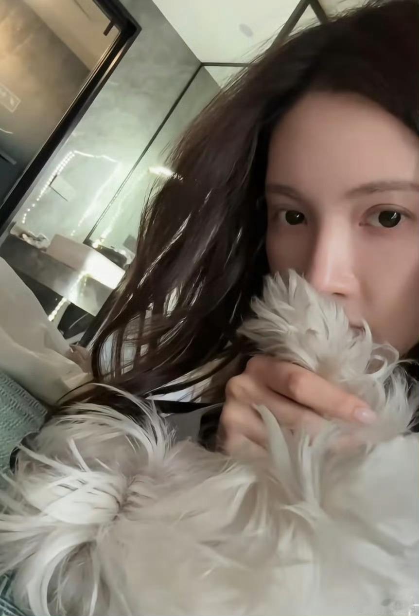 狗仔说金晨事故认定书没有狗的事儿这是和狗仔没有协商好么，没拿到封口费急眼了吧，有