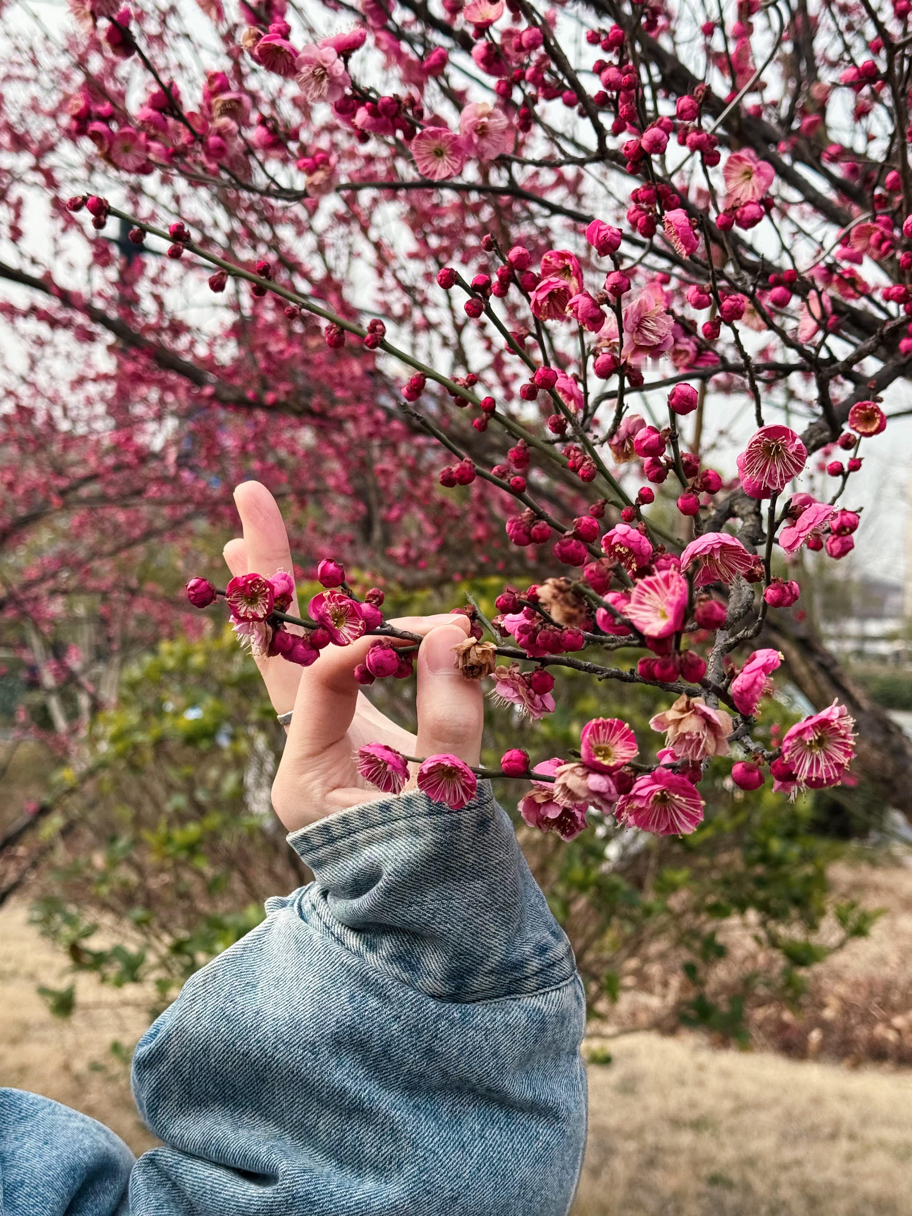 祝自己情人节快乐每天都要更爱自己 