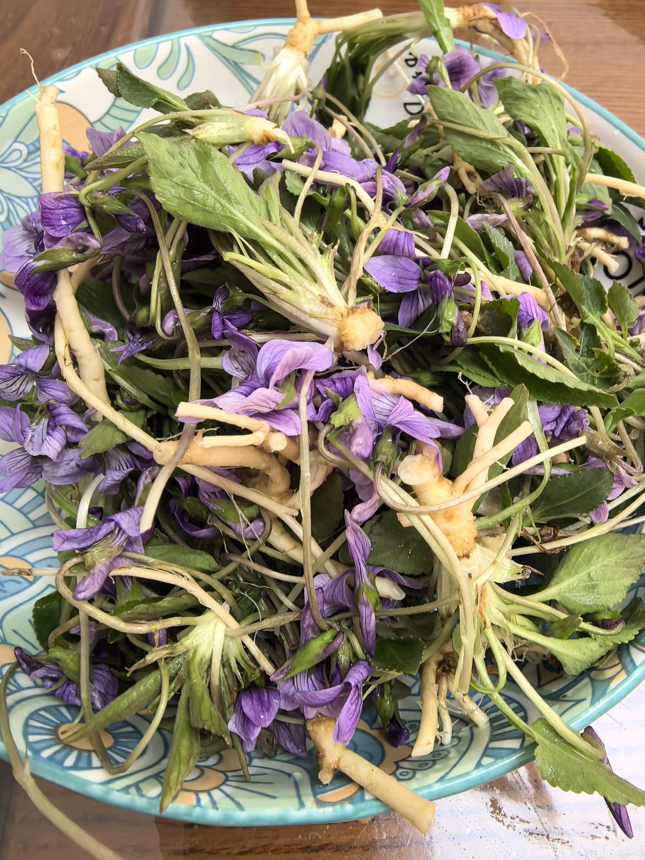 春天真是慷慨的季节，紫花地丁焯水凉拌；荠菜生吃凉拌都可。这些田间地头的野菜转身变