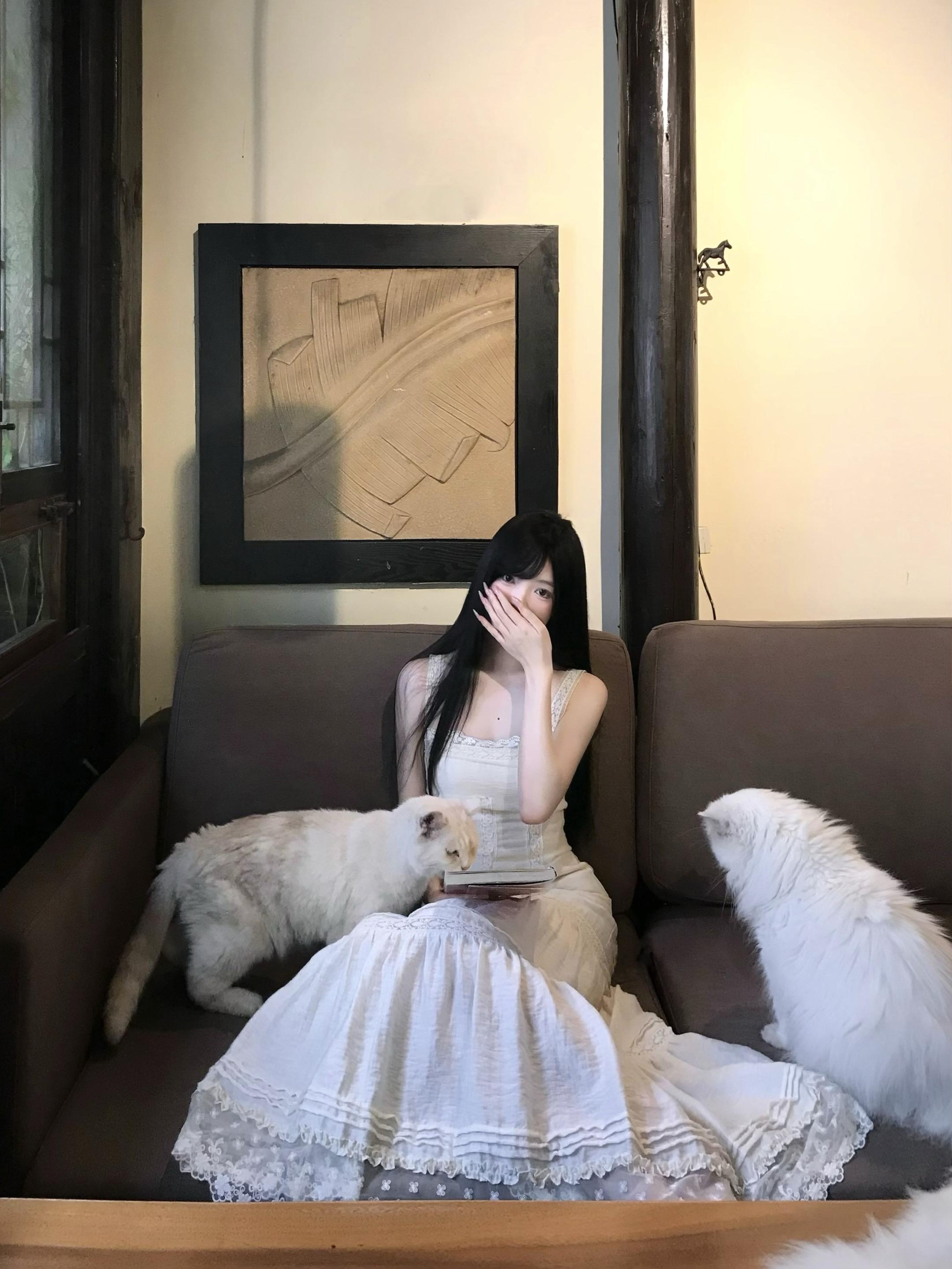 和小猫天下第一好（>^ω^<）
