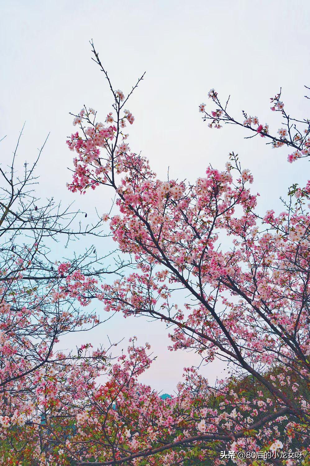 人都已经四十岁了
谁还会去想二十岁的事情