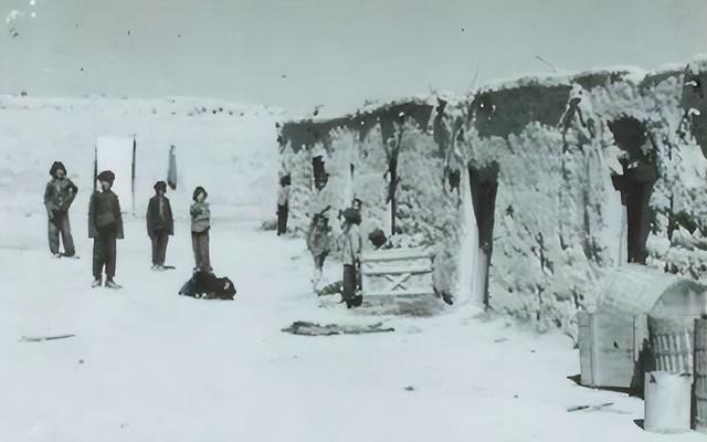 83年严打，那批被遣送到大西北的重刑犯，他们的命运最终怎样了？

闷罐车停靠南京