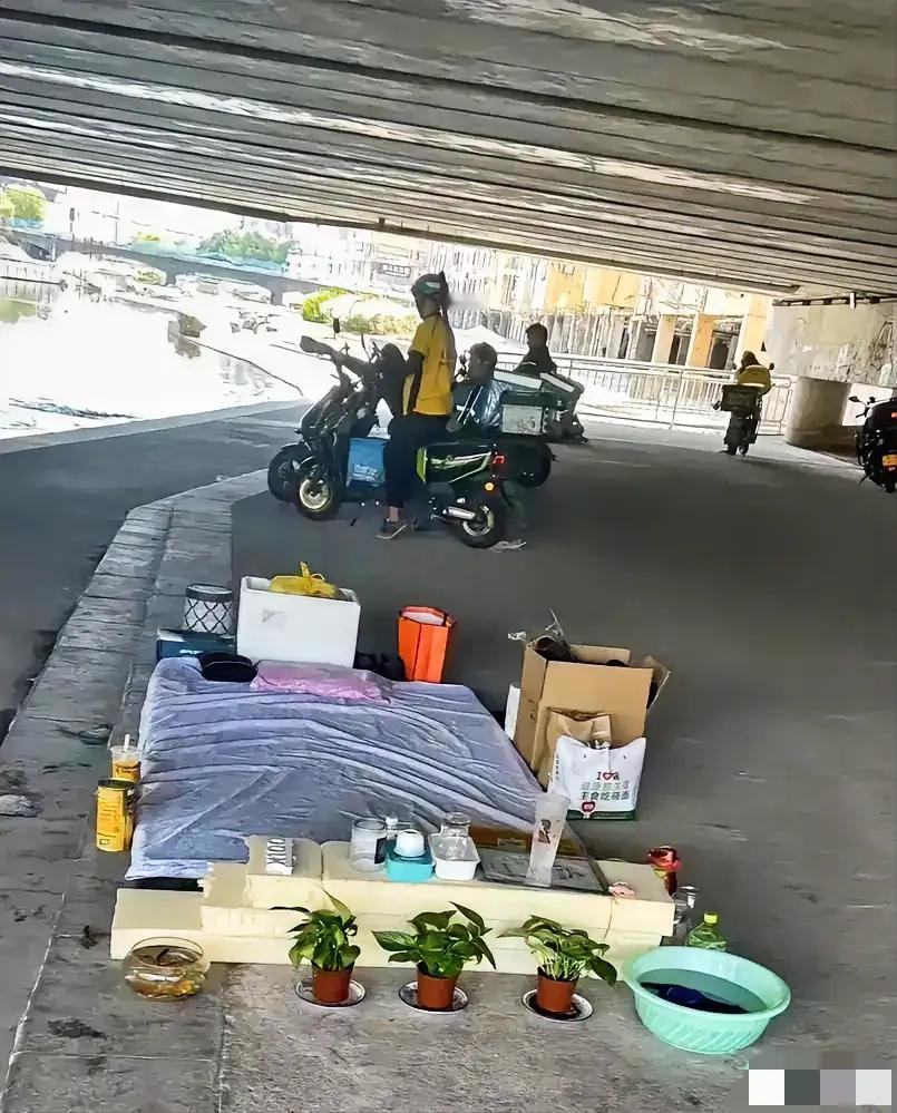 流浪汉的生活也可以整洁、美丽。
这是一个人的素质，不是环境的影响。
并不是每一个