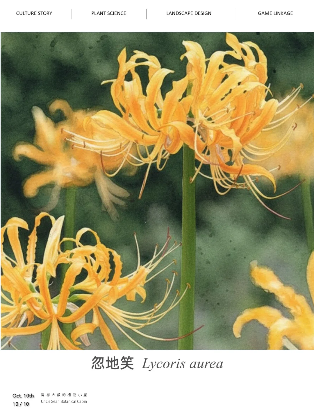 物学家留下的彩蛋，忽地笑的名字故事💛