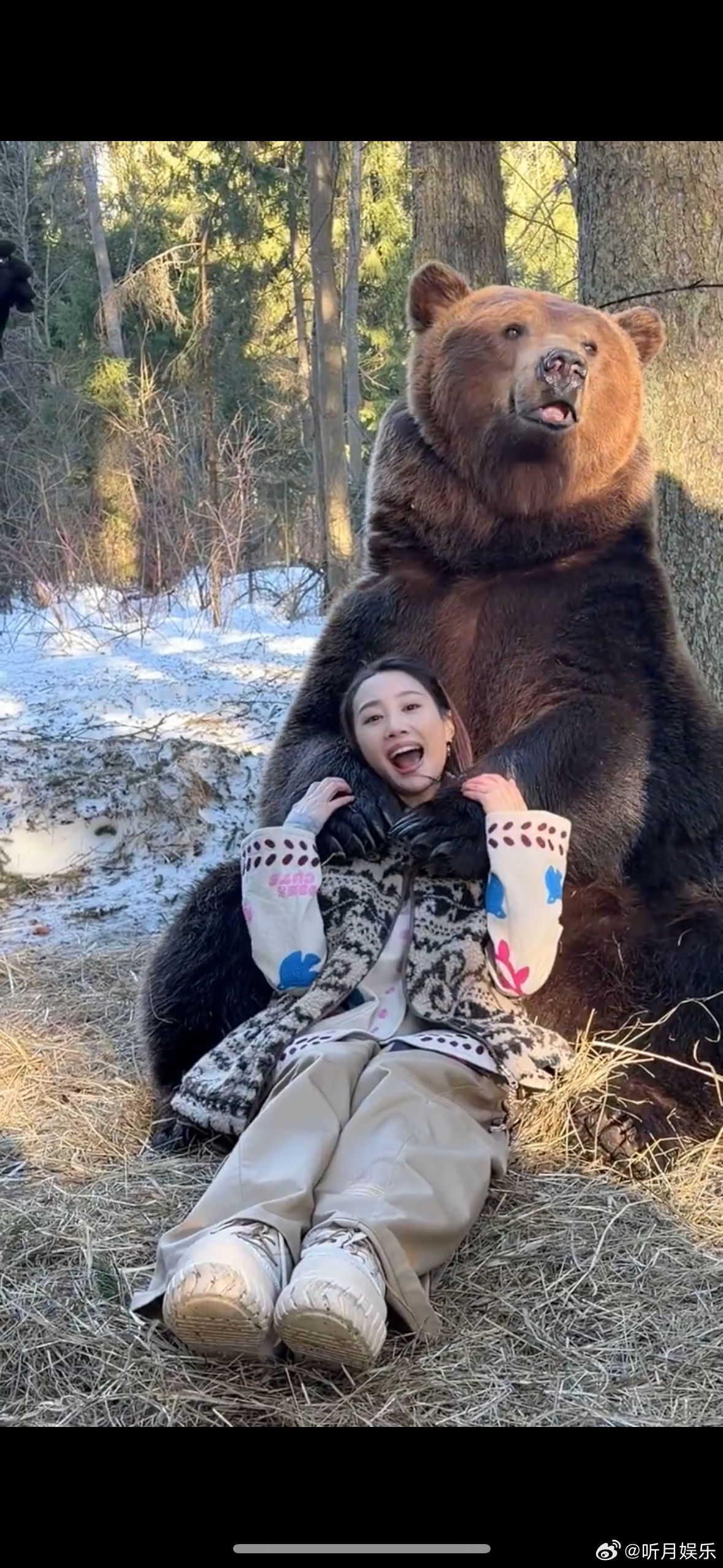 熊见到李纯也忍不住贴贴看完李纯莫斯科旅行vlog，嘴角要焊在脸上了🥰画面随性又