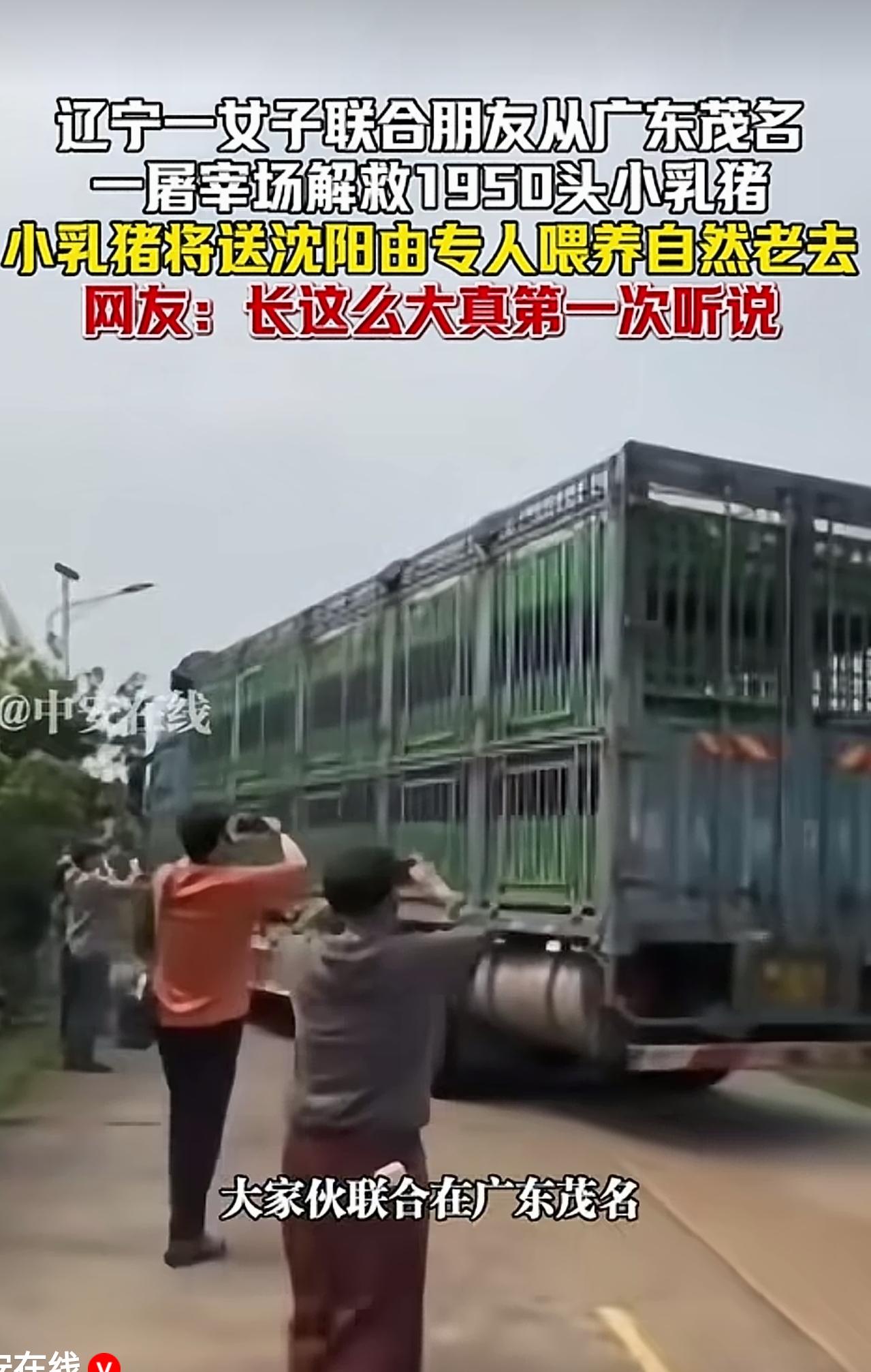 这是嫌弃南方烤乳猪不好吃？