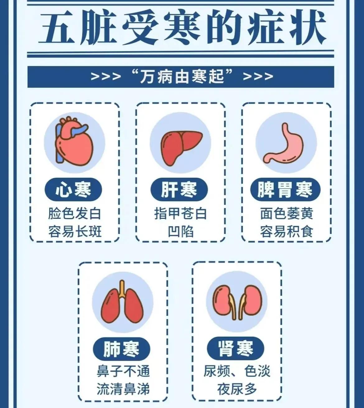 肝寒多痛，其理何在？肝脏作为调节全身气机的关键，一旦肝气不畅，身体的经络自然也会