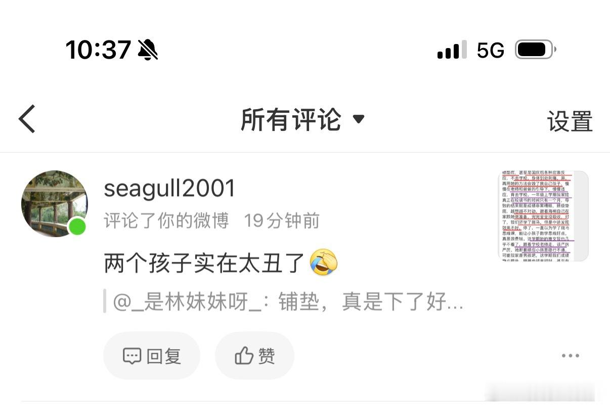 此条评论我在第一时间删除了谁再在我评论区干没品的事我就截图并拉黑 
