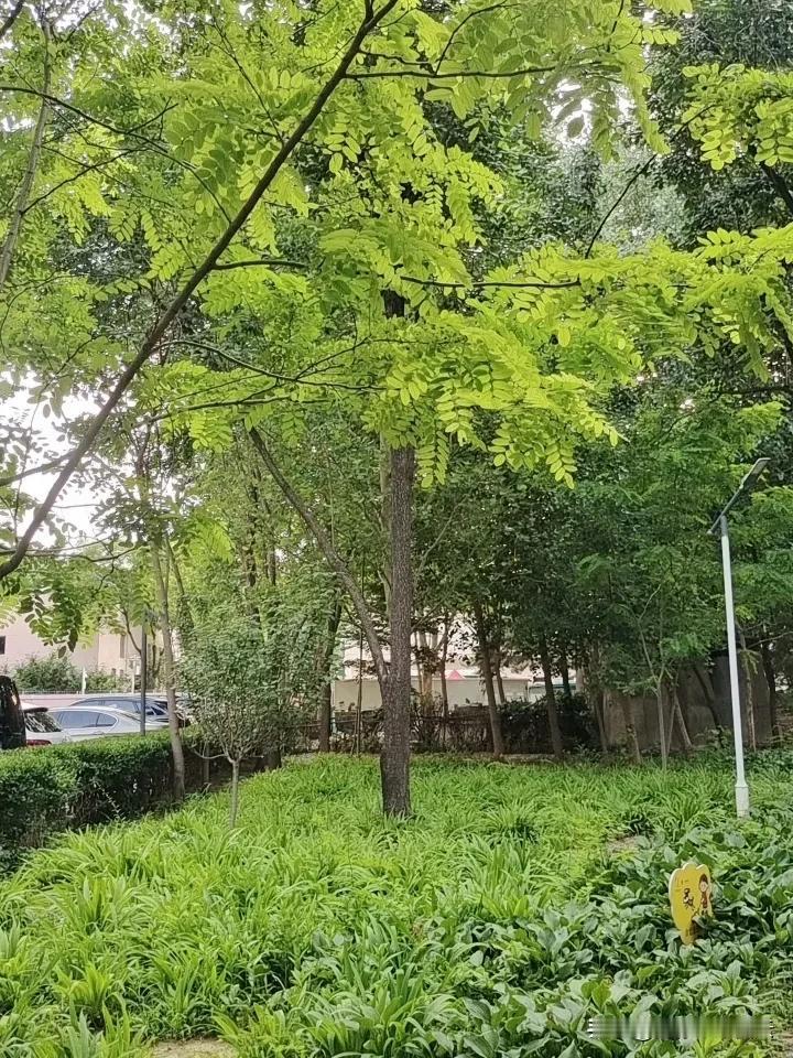 人的想法和感受会随着时间和认知而改变，原来你笃定不变的事情，会在之后某一刻很容易