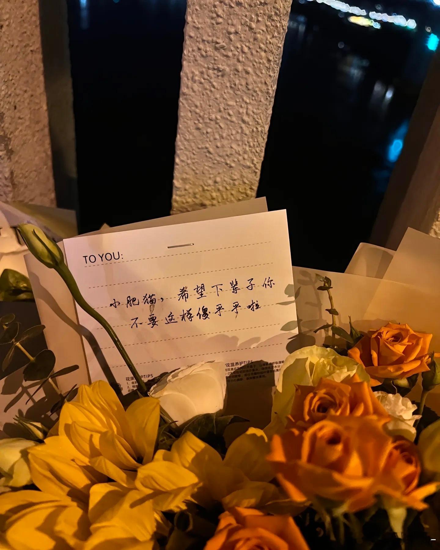 胖猫一路走好，希望你在天上过的开心。 ​​​