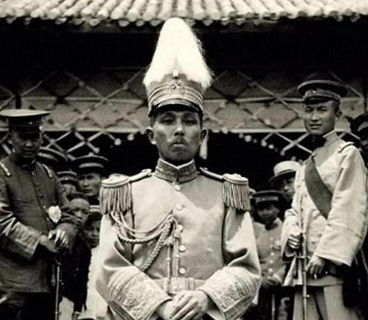 1974年，90岁的杨森迎娶了17岁的张灵凤，洞房之夜，就在杨森要行房时，张灵凤