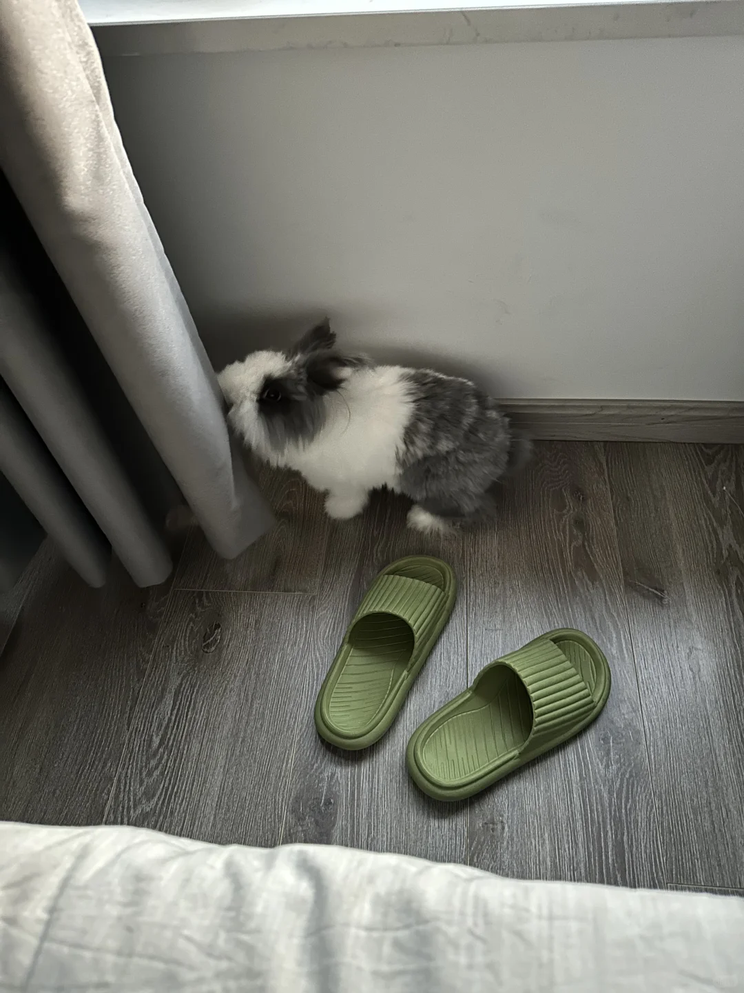睡了个好长的午觉，他就默默陪着我～