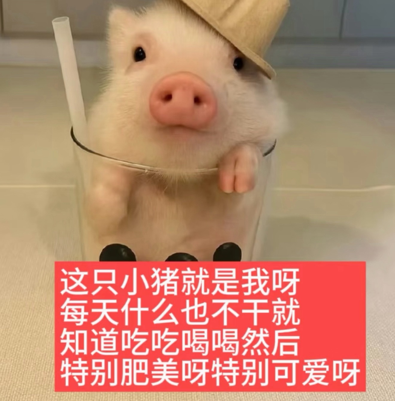 今天下午即将见到的许心真就这样： ​​​