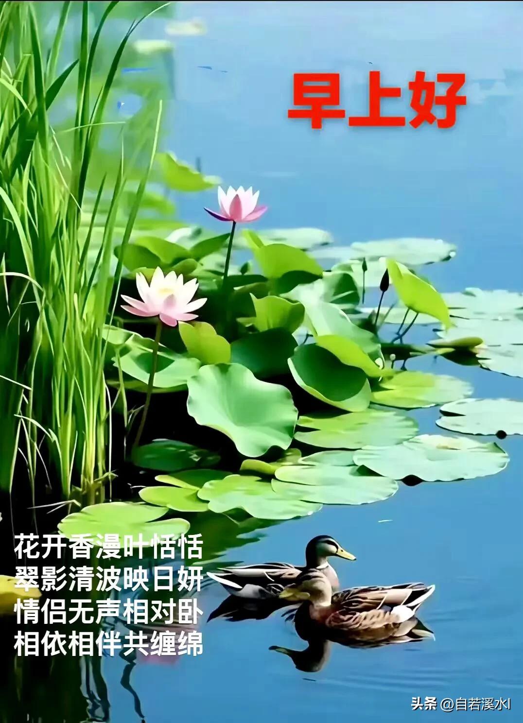 新的一天，允许一切发生，也相信一切皆有转机，照顾好自己，平安喜乐。