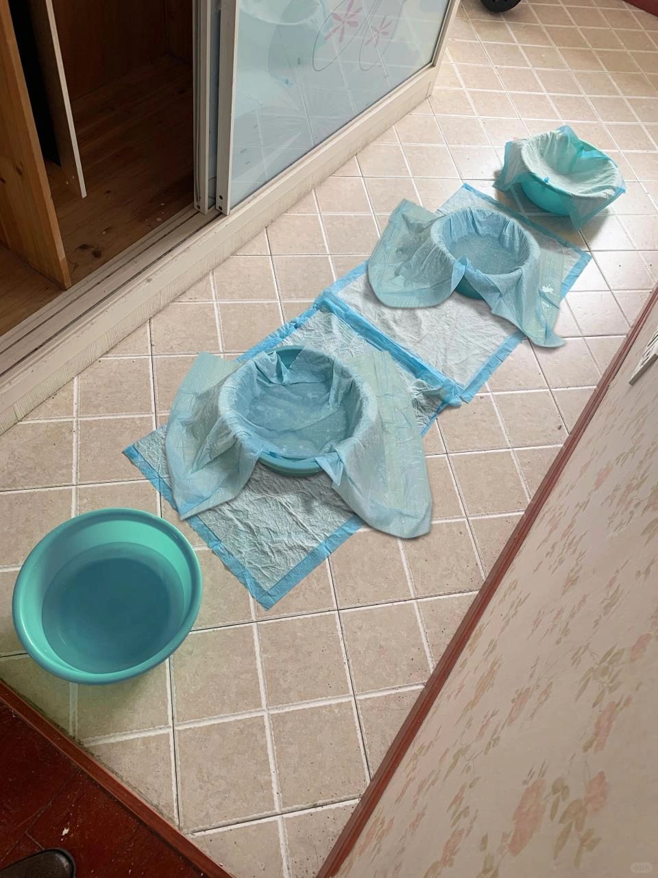 能劝一个是一个，秋季除甲醛越简单越有效