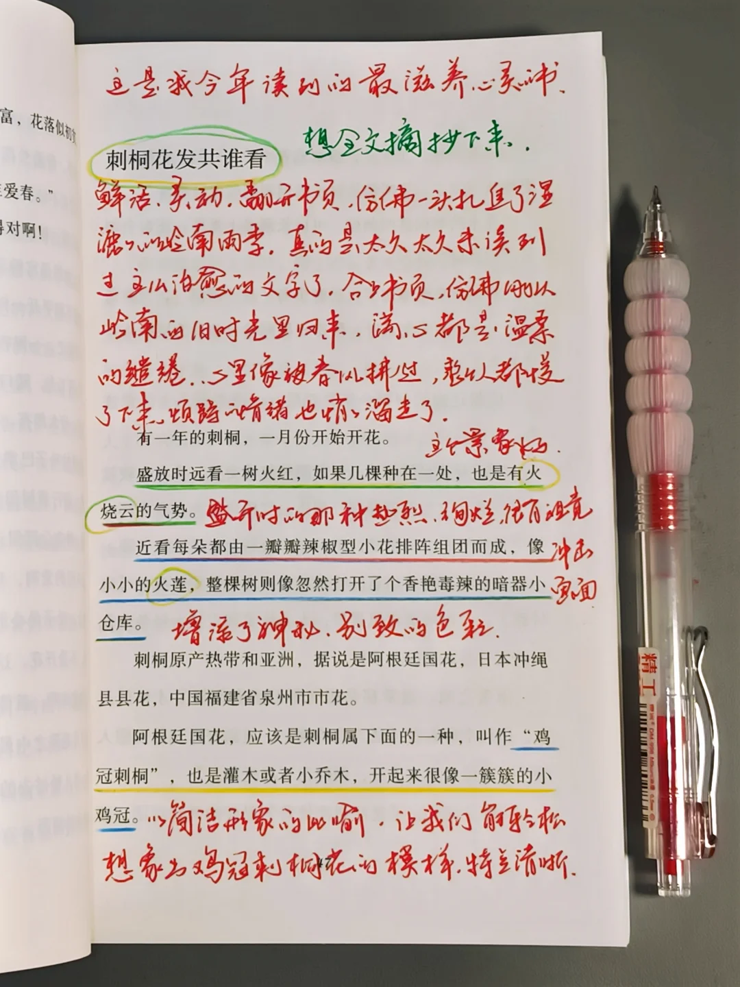 这是我今年读过最好的一本书，没有之一！