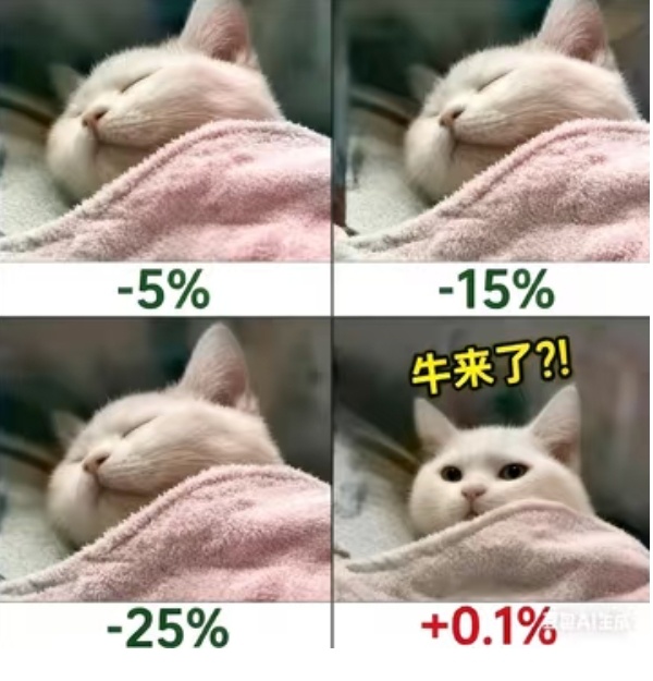 能不能别轮动了
