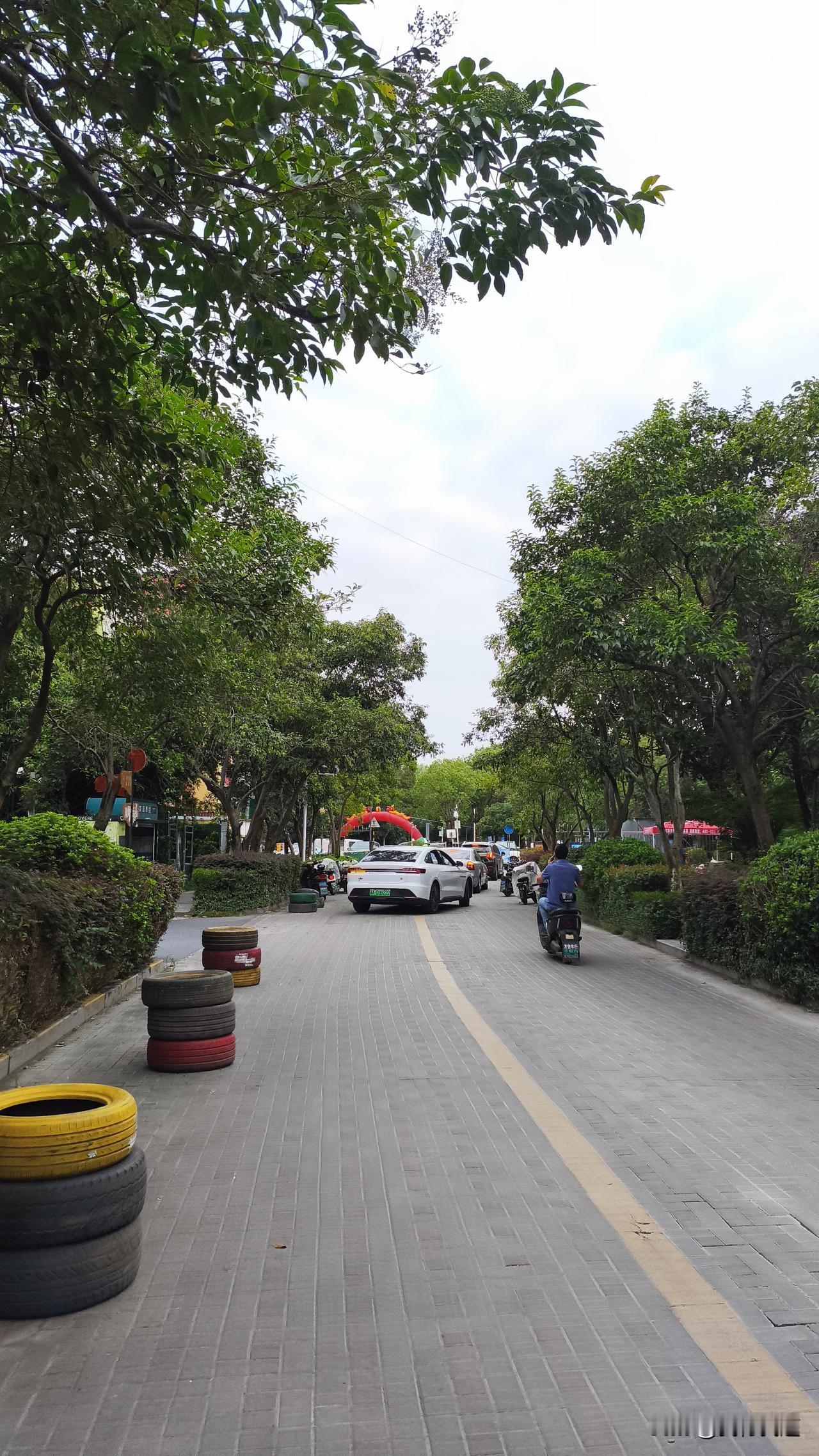 这两天出门真的像开盲盒，前一天还攥着冰奶茶穿短袖晃悠，今早下楼买豆浆，风往领子里