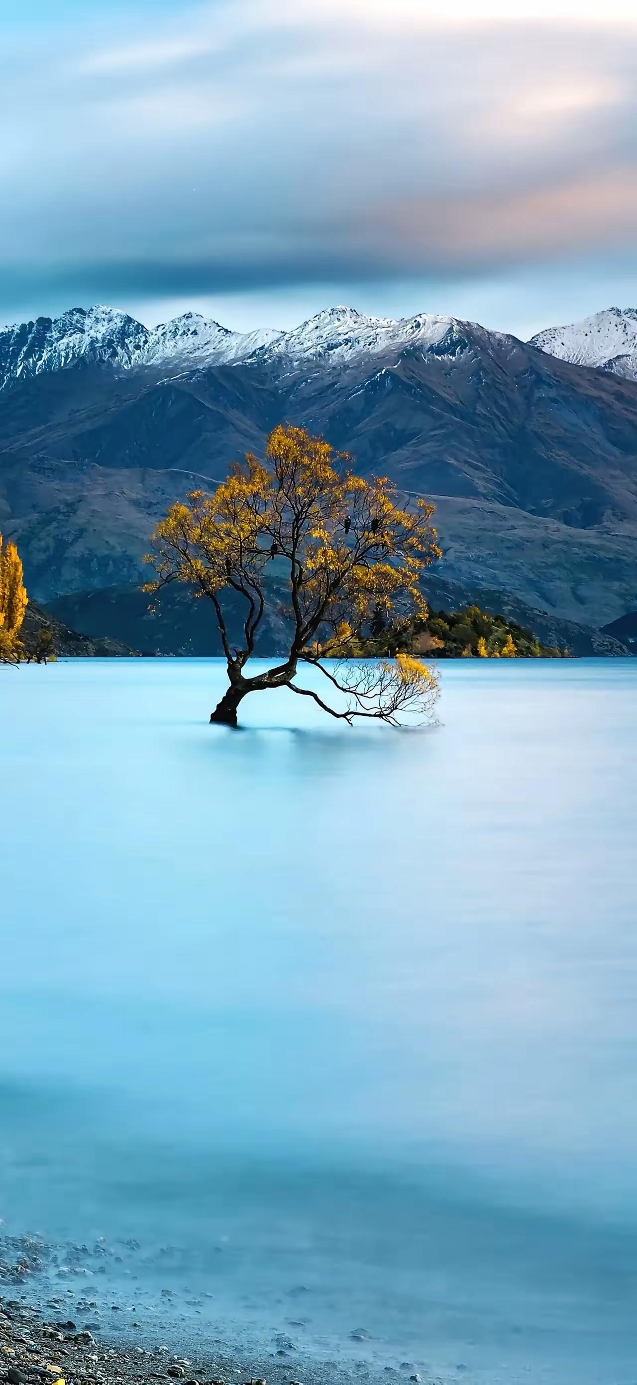 自律与自私
极度自律，经常锻炼的人，不一定长寿；高度自私，不为他人操心，不管闲事