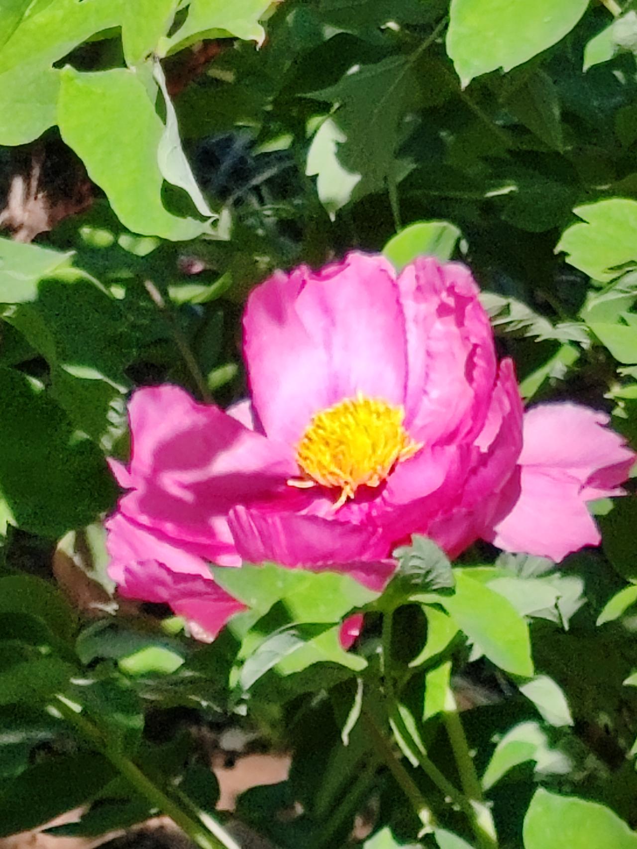 赶上什么就说什么，你又不是能未卜先知。要是早知道房价会跌，打死你也不会买。既然已