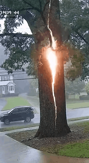 虽然明知道这不是真实的画面，但他却真实的模仿了真实的画面，真正的闪电大概就是这个