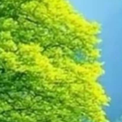 每一个优秀的人，都有一段沉默的时光，那段时光，是付出了很多努力却得不到结果的日子