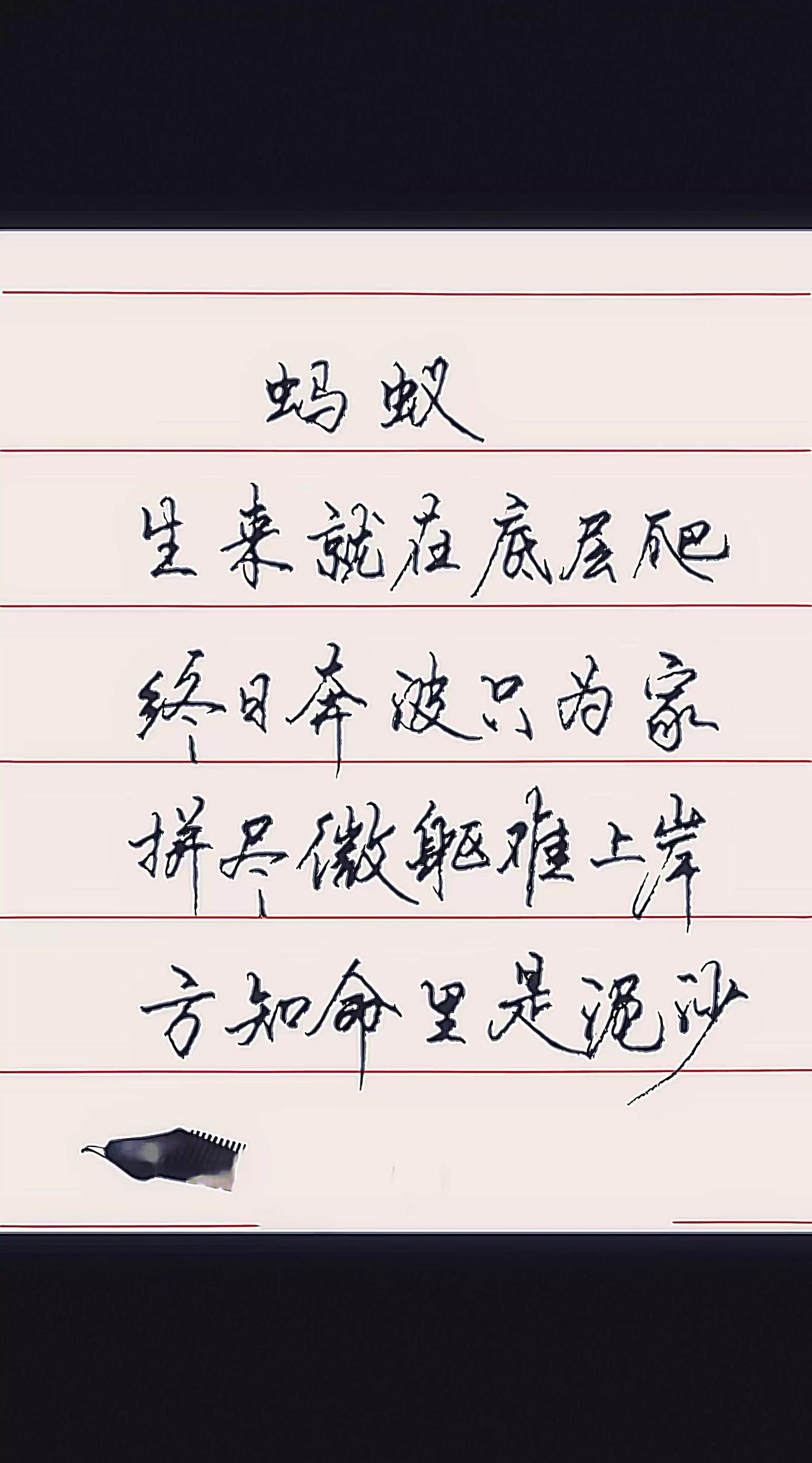每日手写打卡 每天练字
