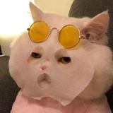 竹间说说社会