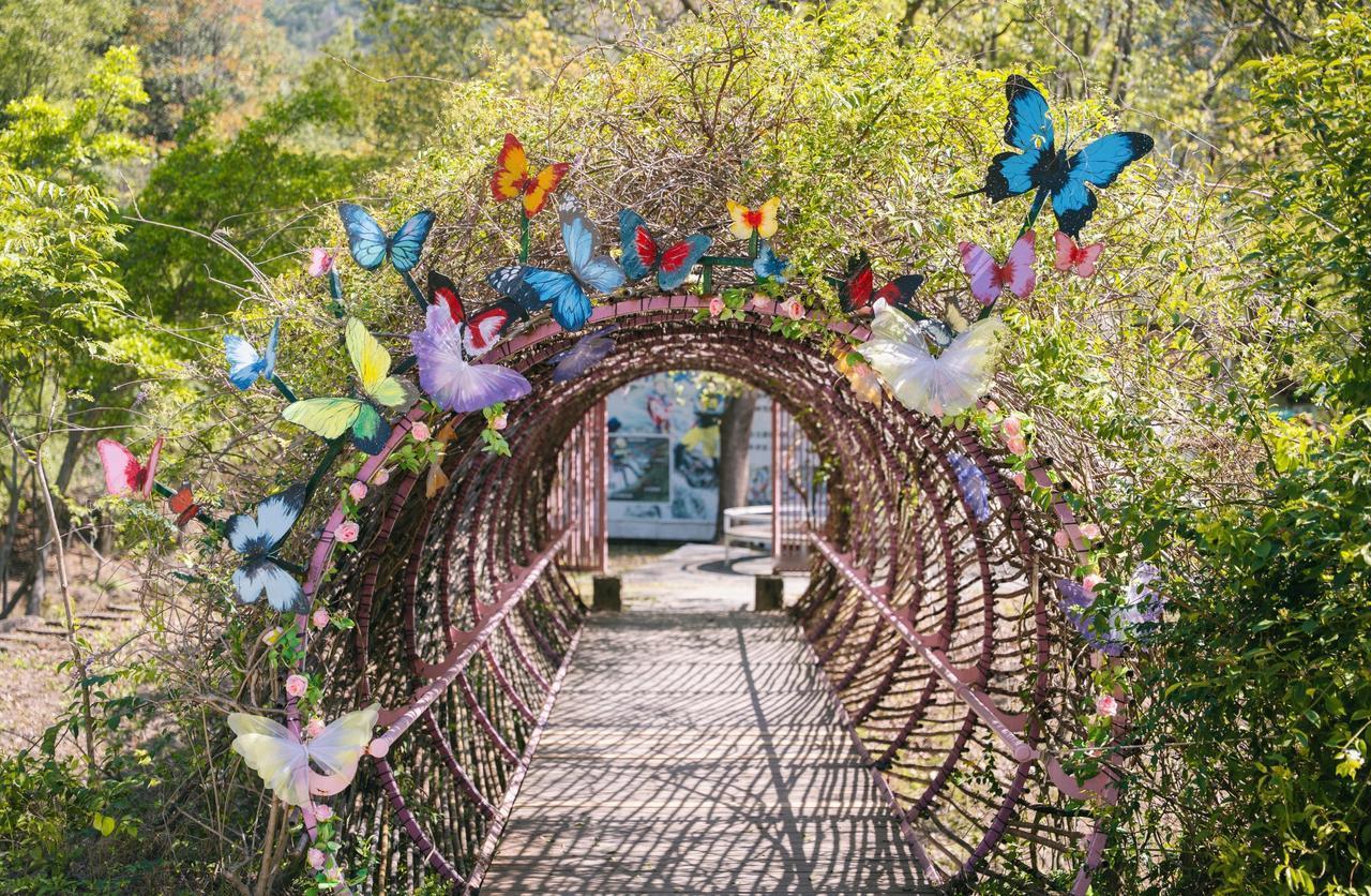 🔥团队三月踏青春游丨广州赏花好去处
📍广州 世间香境·七溪地
🌸🌿 三月