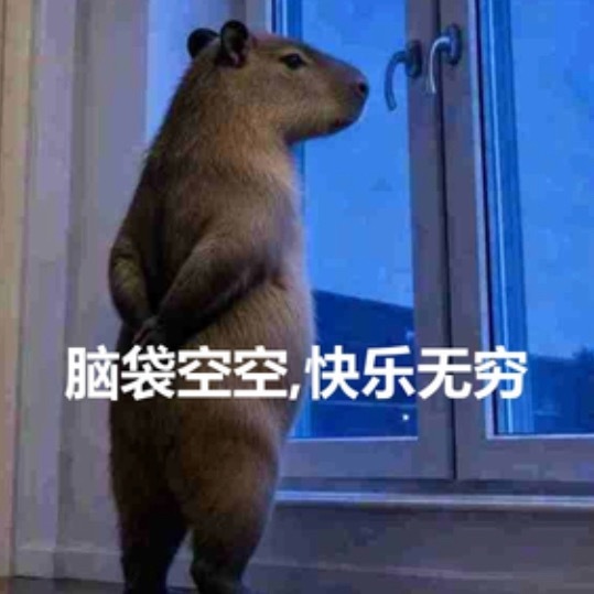 我身边最好的朋友都是卡皮巴拉。情绪超级稳定，整个那一片祥和，我和他们在一起的时候