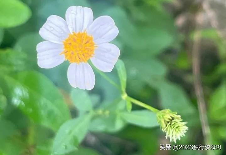 客户诊所请请了一个医院刚退休的副主任医生，才上一个星期班，她就不想要了！

这个