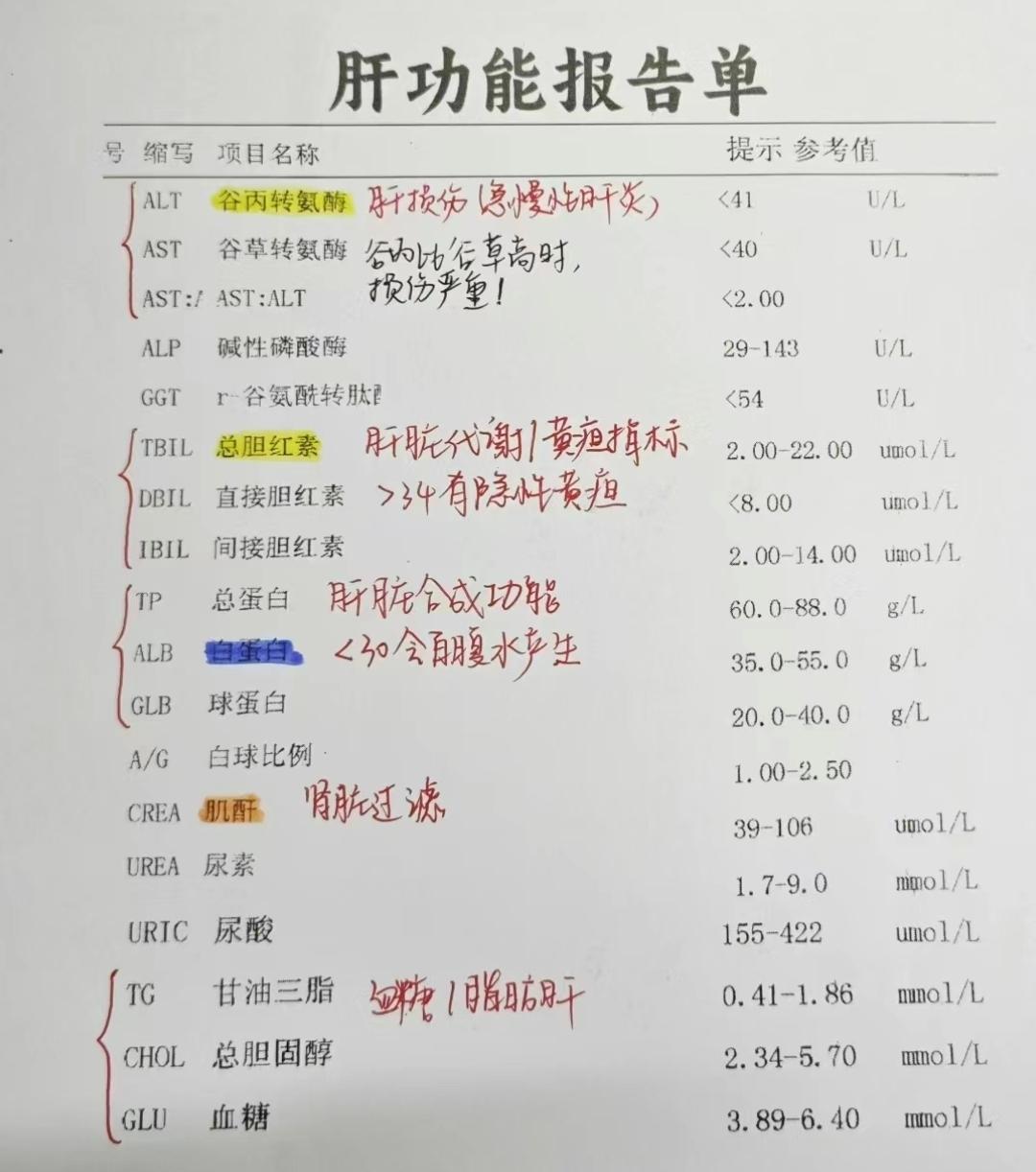 肝功能报告单详解！