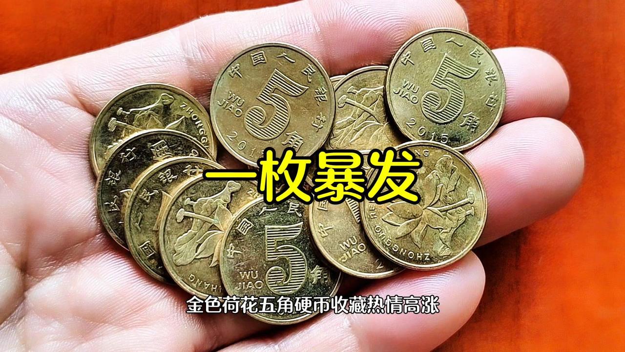 金色荷花五角硬币属于第五套人民币辅助币，发行了两个版本：
1️⃣2002年至20