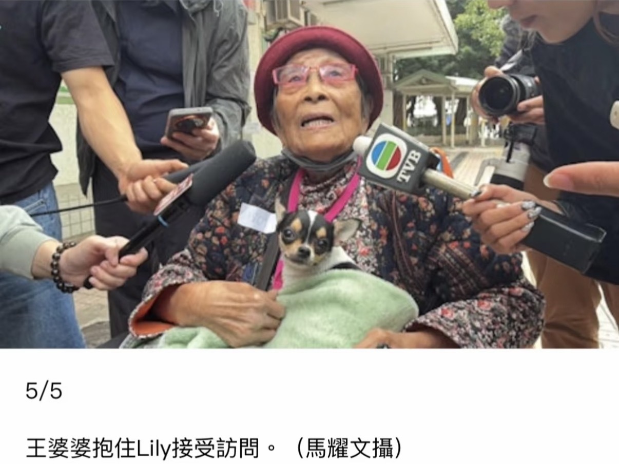 火灾后人狗团聚王婆婆抱住狗狗Lily