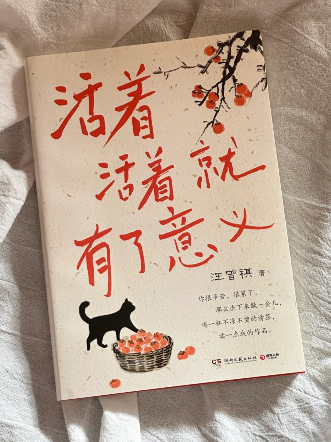 读汪曾祺的文字，怎么这么会写啊！！！ 