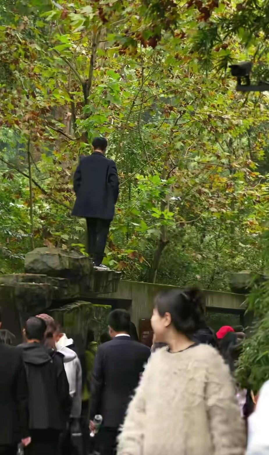 这个爬上七号别墅围墙双手插兜的兄弟是不是觉得自己够帅？！
要不是保安将他喊下来，