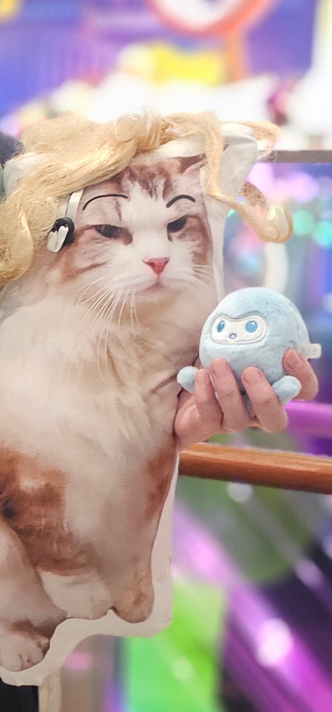 美丽的画面 