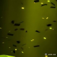 种地吧集卡集卡集卡十个勤天