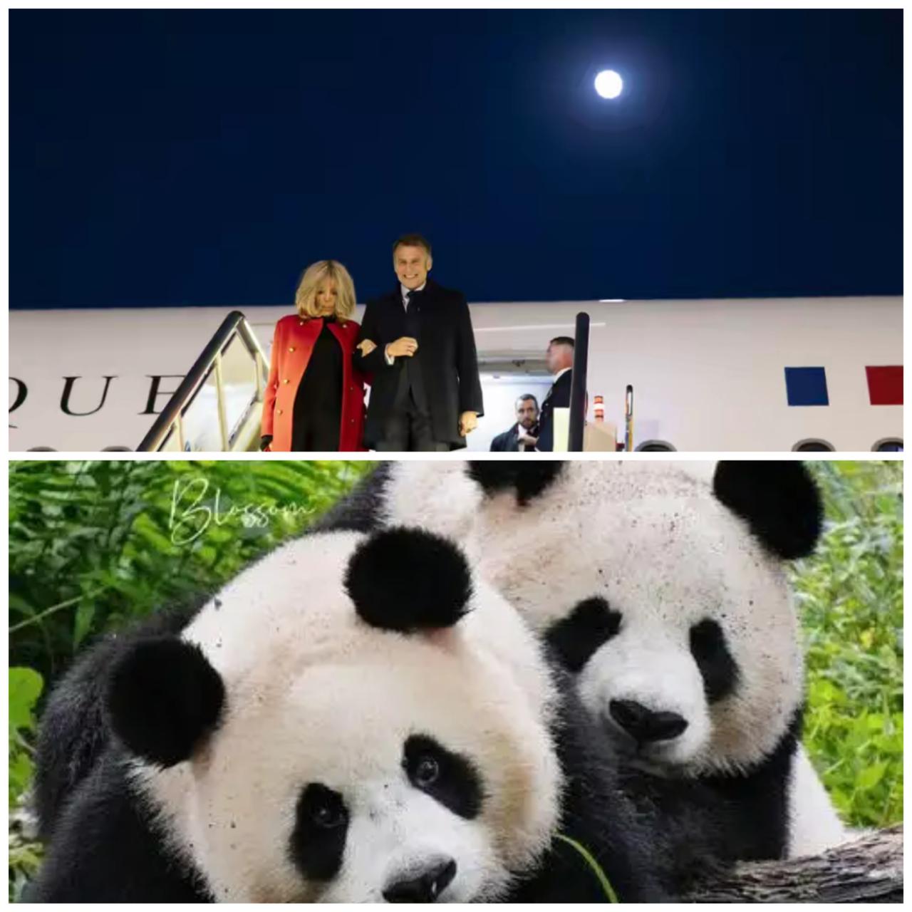 2023年“权力×财富×交流”升级为2025年“权力×文化×川军”。

在北京，