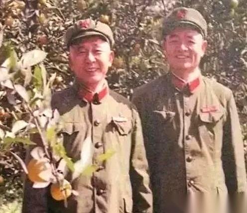 一张照片，就给我看愣了。
左边，司令员王诚汉。右边，政委万海峰。1982年。
按
