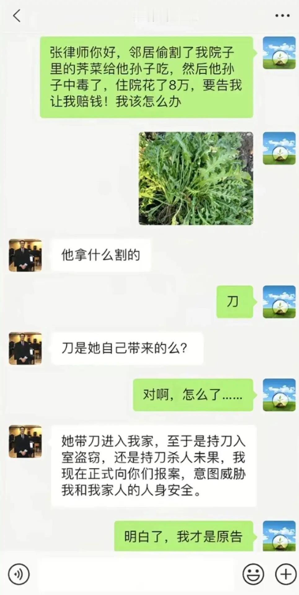 不愧是高级律师，我悟了！ ​​​