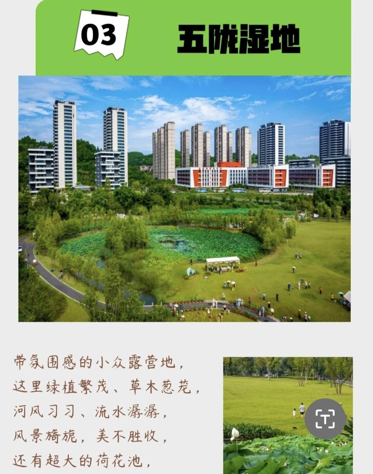 这是在点军的什么地方？居然还有我这个老宜昌人没去过的？
这个叫五陇湿地的地方，有