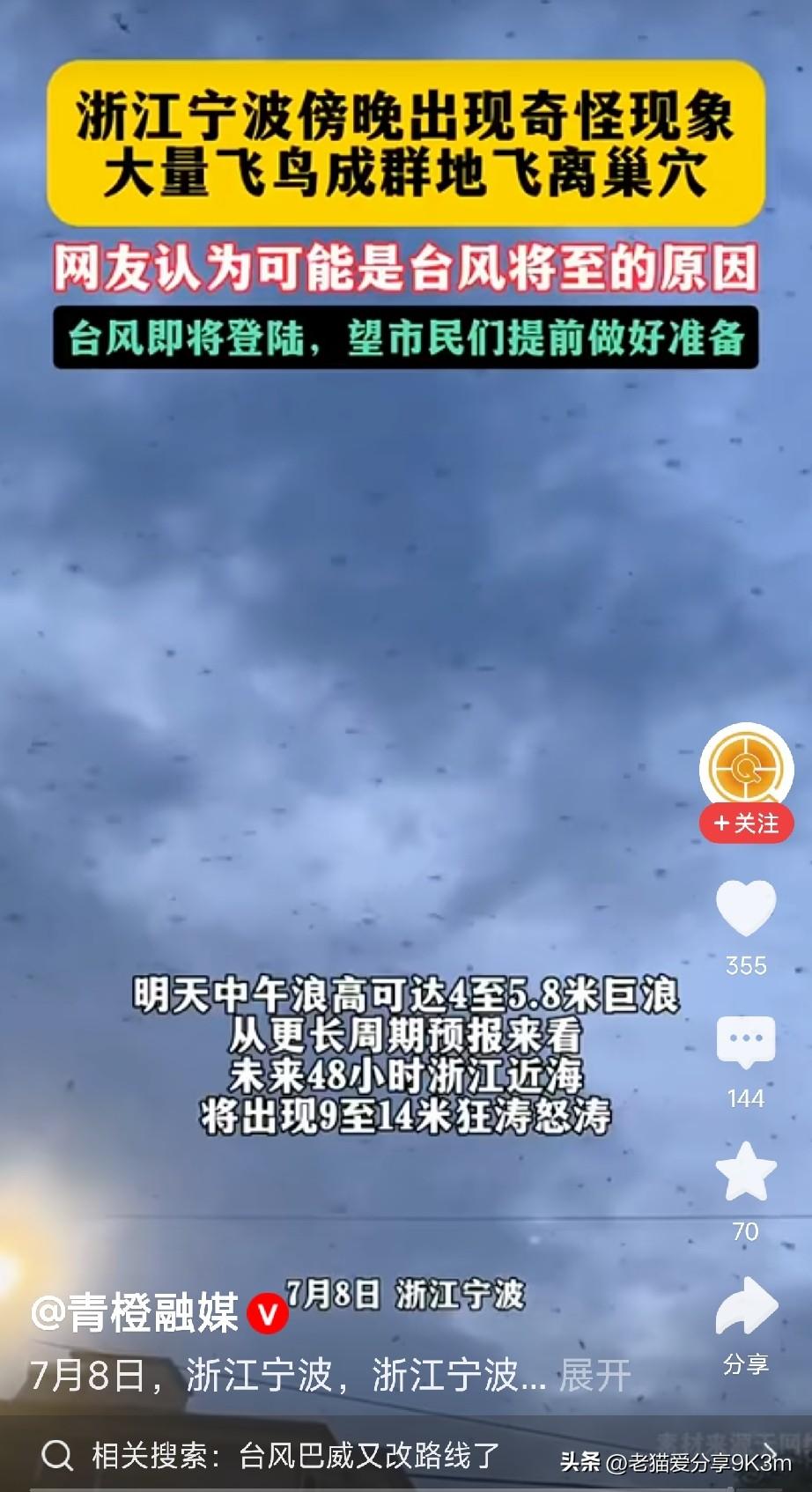 宁波天空被鸟群遮住，市民抬头看懵了：这是台风要来的信号？

7月8日傍晚，浙江宁