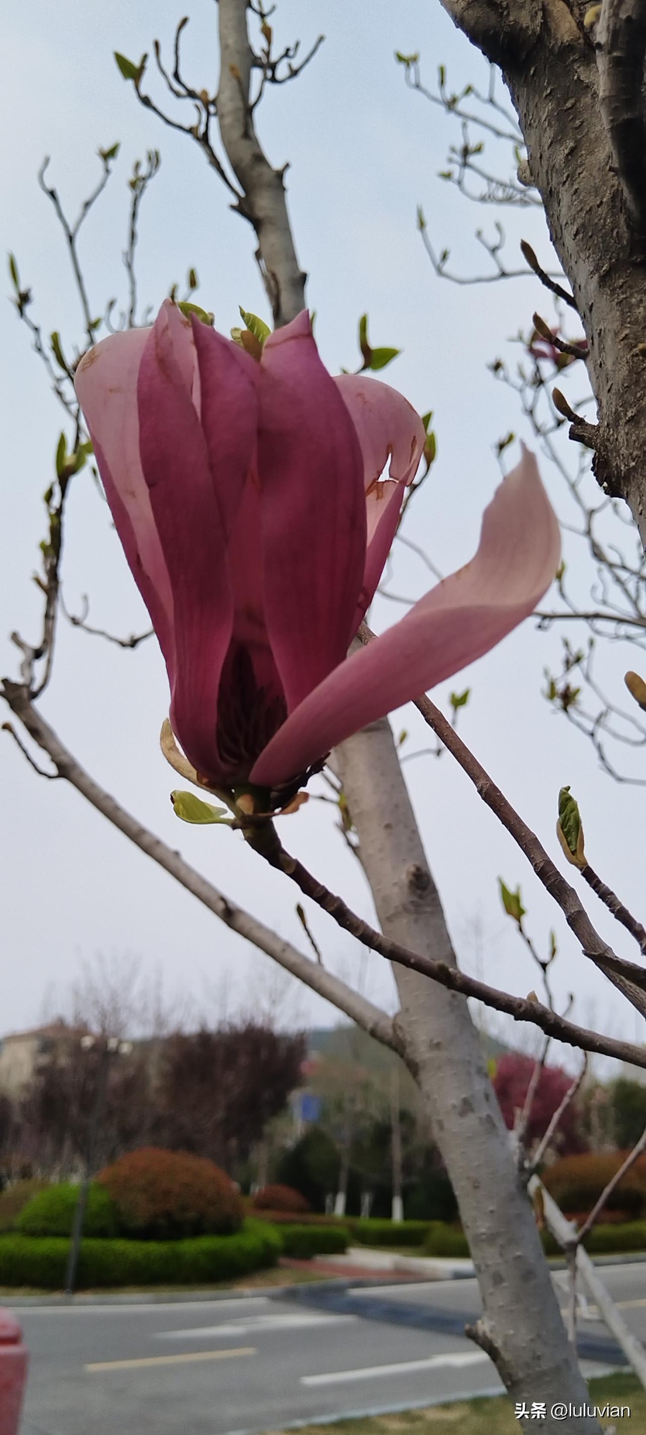 女士在健身房锻炼穿瑜伽裤不合适吗？
看很多人说瑜伽裤太紧身，健身房又那么多男士，