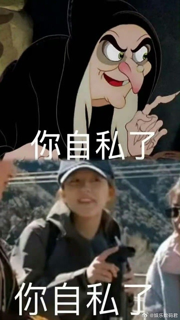 谁给赵露思做的表情包别太恨她了 ​​​